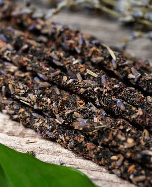 Captura de pantalla 2026-04-15 155323.webp